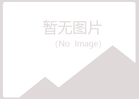 灵川县夏岚公益组织有限公司